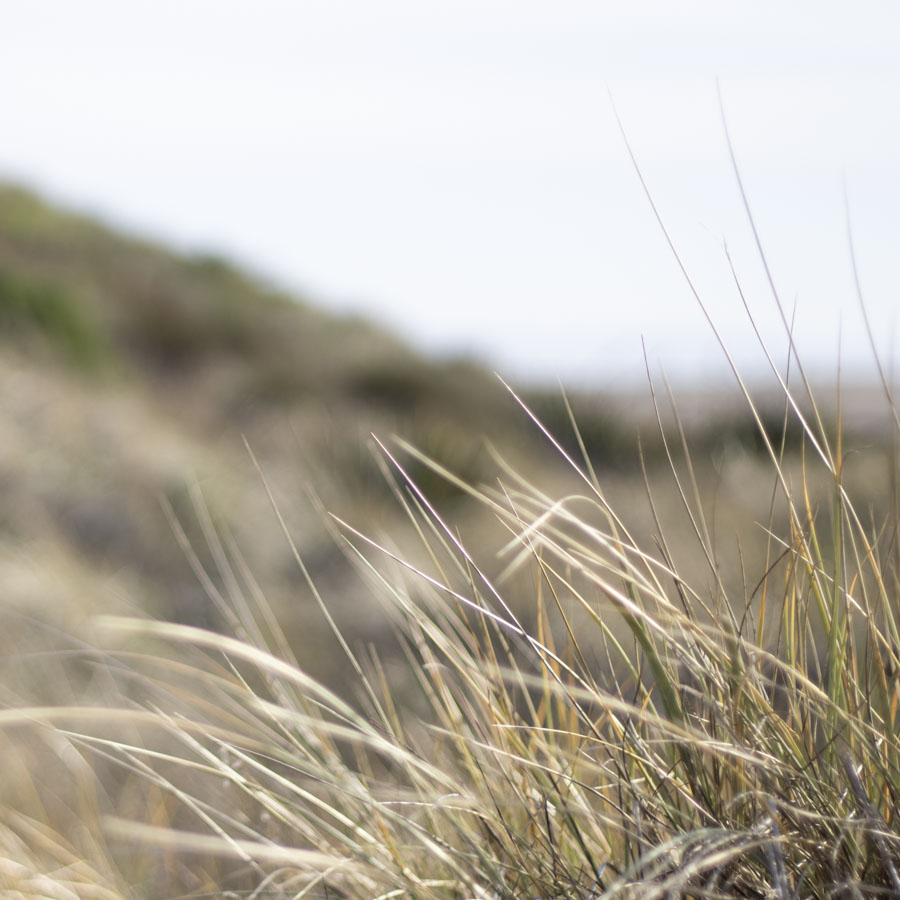 Hypnotherapy NZ Hypnotherapy NZ